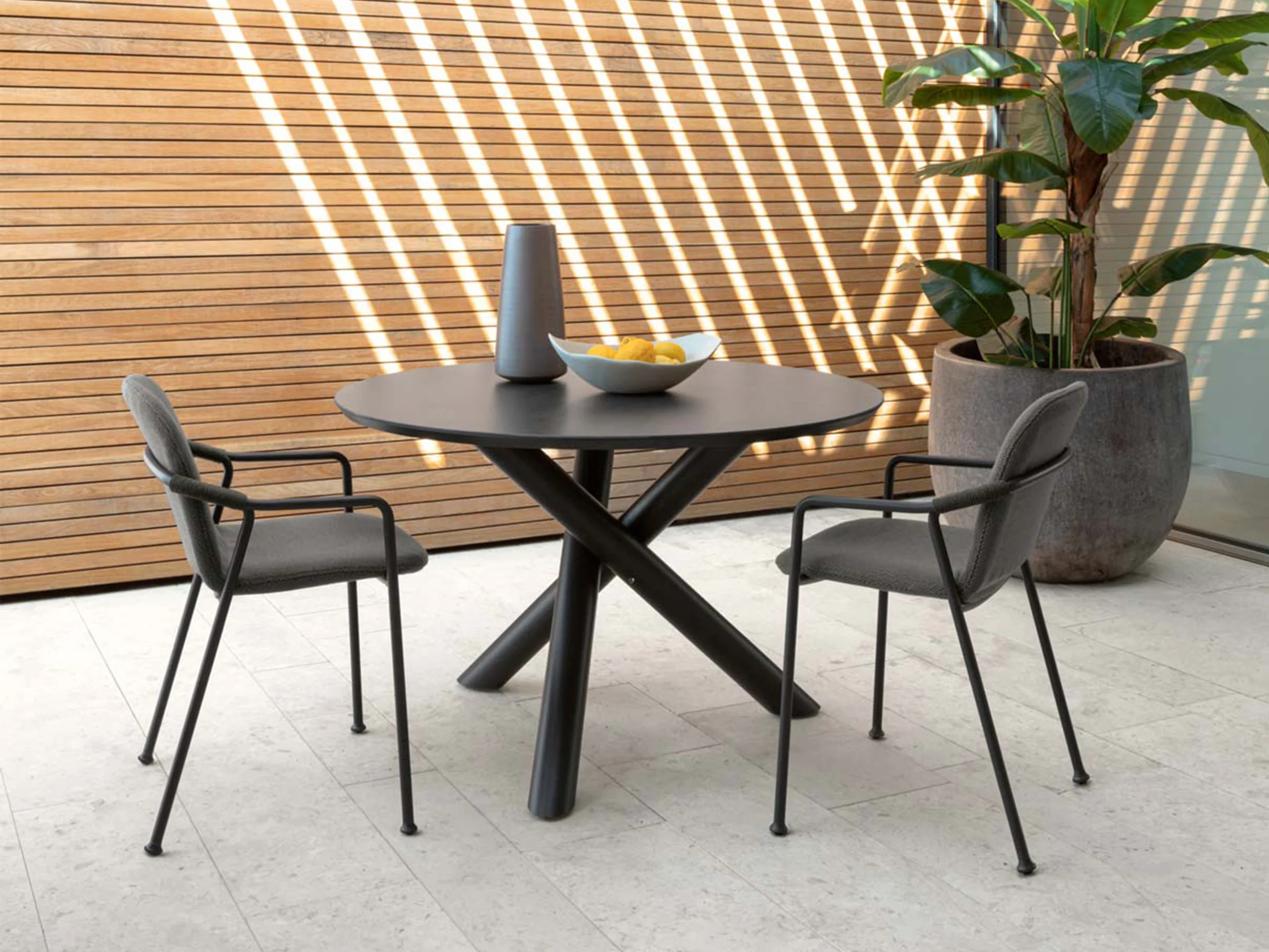 Coral Carver Chair - Image 3